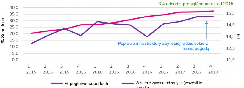 Graph 2. Percentage of supersows&nbsp;and Global total born.
